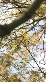Vue 2