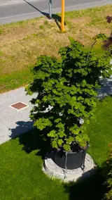 Vue 2