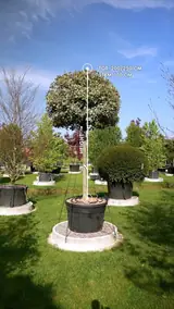 Vue 2
