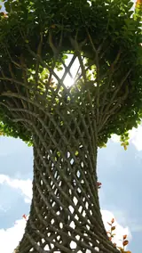 Vue 2