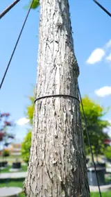 Vue 1