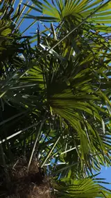Vue 1