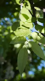 Vue 4